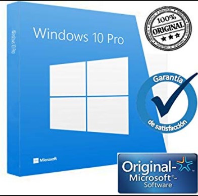 windows 10 pro original