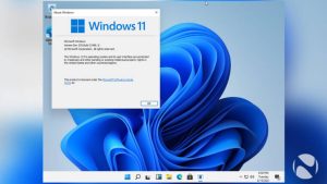 Windows 11 ISO 32/64-bit Full Setup [Download]