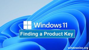 Windows 11 Product Key All Versions 32+64bit (2023)