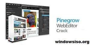 Pinegrow Web Editor Crack + Keygen For Windows