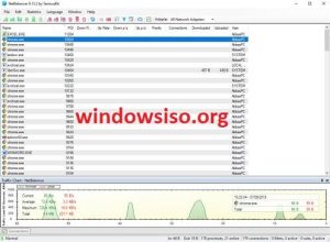 NetBalancer 12.2.2 