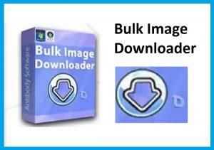 Bulk Image Downloader Crack 6.40 + Full + Portable [PC]
