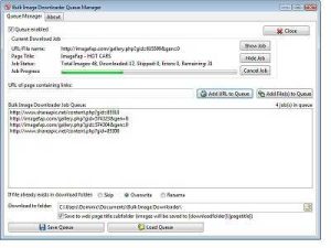 Bulk Image Downloader