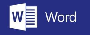 MS Word Torrent